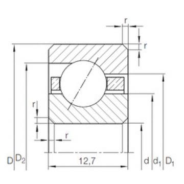 Bearing CSED 1103) INA